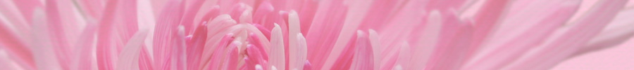 Breast Cancer Memorial Sites | iStock / Jennifer Sheets