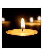 Arizona Wildfire Victims Obituary (azcentral)