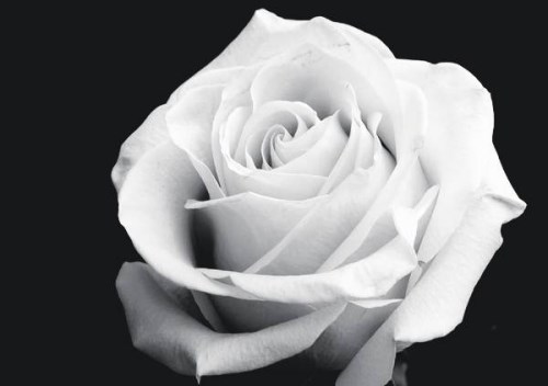 Valerie Rose obituary, Selsey, West Sussex