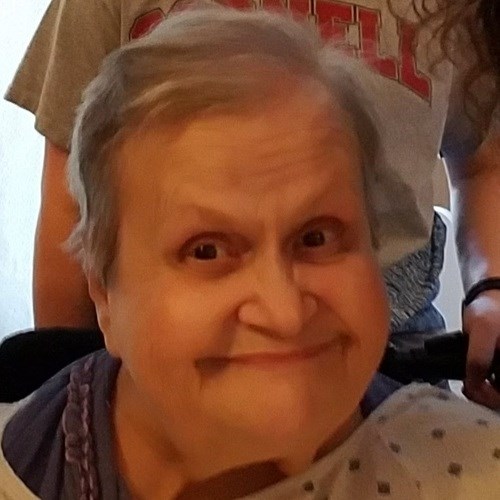 Judy Johnson Obituary (1943 2022) Northbrook, IL DailyChronicle