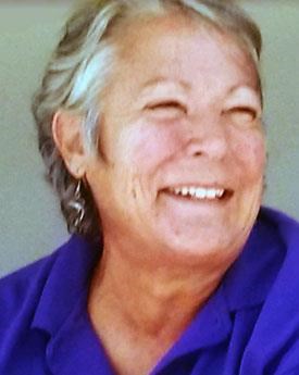 ROBIN A. BARTELS obituary, 1956-2017, Lake Zurich, IL