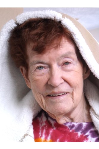 Barbara Ann Meyer obituary, 1937-2020, Vallecito Lake, Co