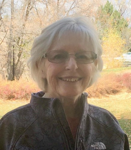 Jo Alene Dobbins obituary, 1941-2021, Durango, CO