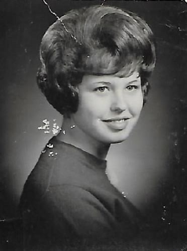 Susan Diane Carrigan obituary, 1947-2018, Fenton, MI