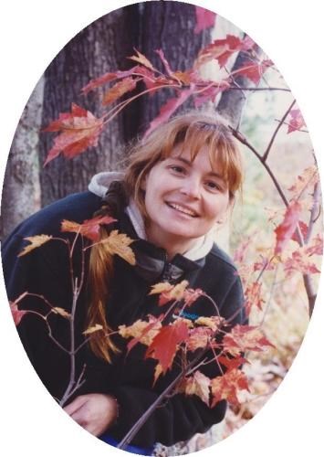 Wendy Lynn Mareci obituary, Grand Rapids, MI