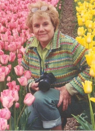SUSAN KAY VANDYKE obituary, Grand Rapids, MI