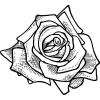 logo 032712 7886578 2 rose4