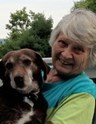 Janet Shea Obituary (ledgertranscript)