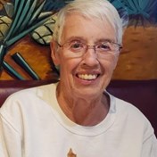 Lisa Ann Rizvi Obituary - Gahanna, OH