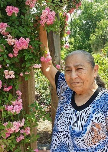 Olga Hernandez Obituary - Broussard's Mortuary - McFaddin - 2023