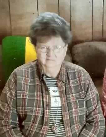 Mary Ann Reed Obituary (2025) - Jackson, MI - Hampton Funeral Homes ...