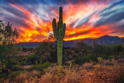 Stephen John Cowgur Obituary (2022) - Mesa, AZ - Bunker Family Funerals ...