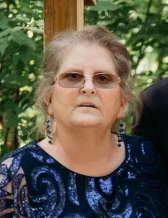 Sue Call Obituary (2023) - Tecumseh, MI - Handler Funeral Homes ...