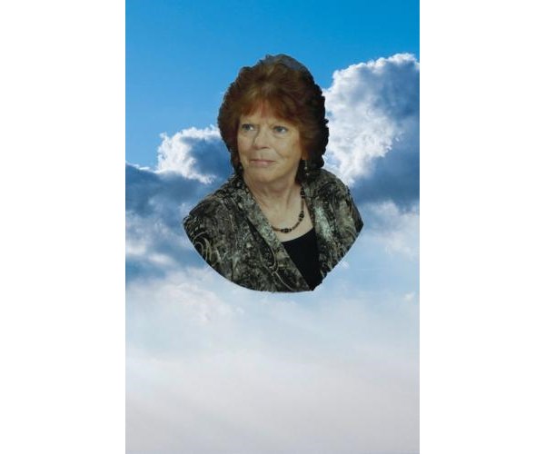 Carolyn Johnson Obituary (2023) - Sanford, NC - Bridges-Cameron Funeral ...