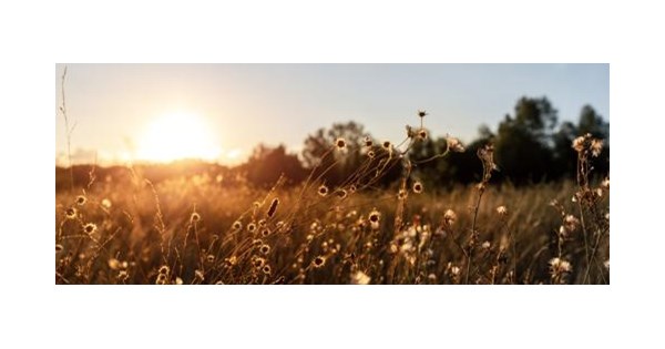 George Richard Rone Obituary (2026) - Gainesville, FL - Crevasse's ...
