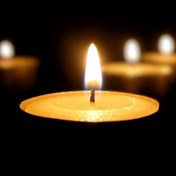 Lisa Ann Rizvi Obituary - Gahanna, OH