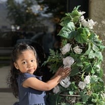 Valentino Martinez Obituary - Serenity Funeral Home of Bluffdale - 2023