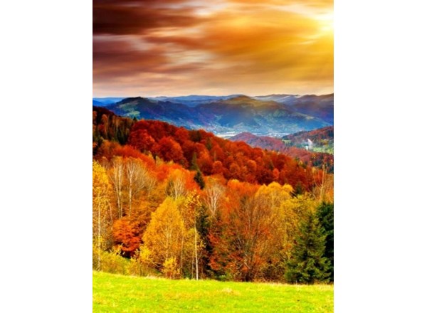 Betty Ramey Obituary (2025)
