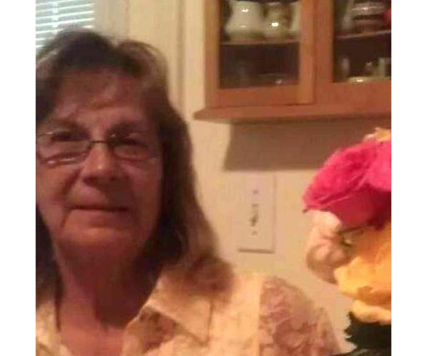 Sharon Harrison Hillebrandt Obituary 1937 2023 Legacy Remembers