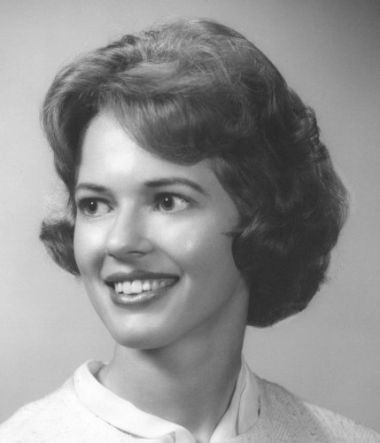 Dianne Brissey Obituary (2024) - Marietta, GA - Marietta Daily Journal