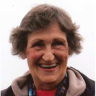 Judy Cobb Obituary (2017)