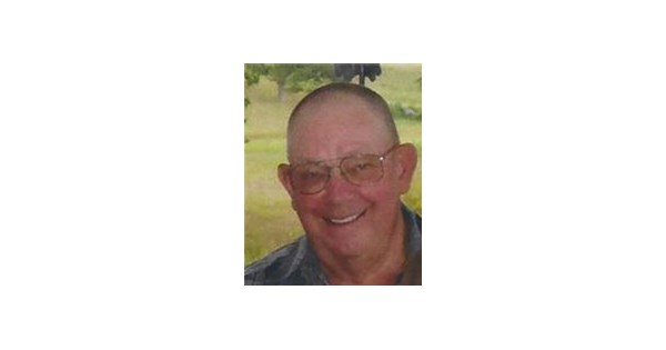 Louis Perkins Obituary (2019) - Shinglehouse, PA - Olean Times Herald