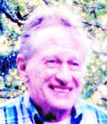 Wayne M. Pealer obituary, Dillsubrg, PA