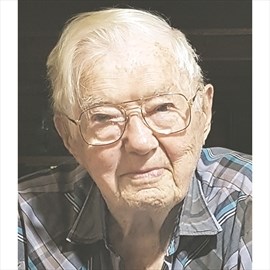 Harry NELSON obituary