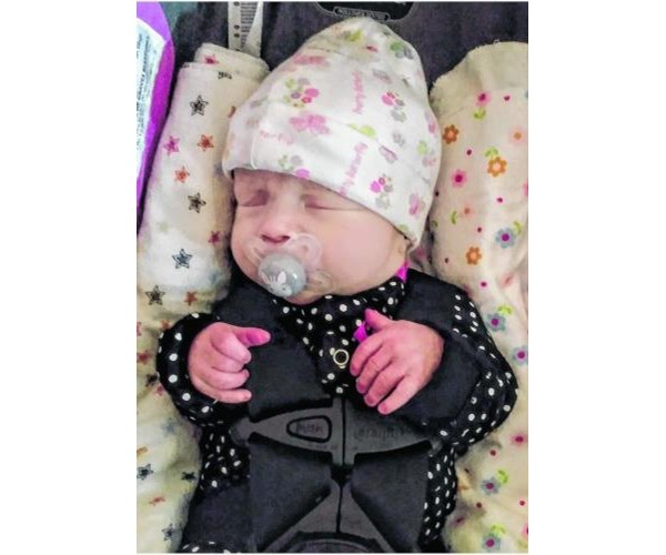 Arabella Silcox Obituary 2020 2020 South Bend IN South Bend 