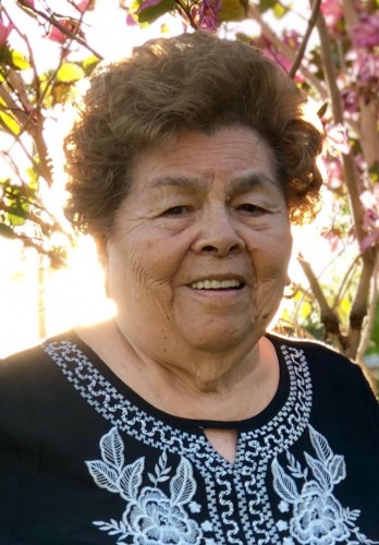 Teodora Ramirez Obituary (1928 - 2020) - Edinburg, TX - The Monitor