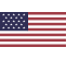 U.S. Flag (color)