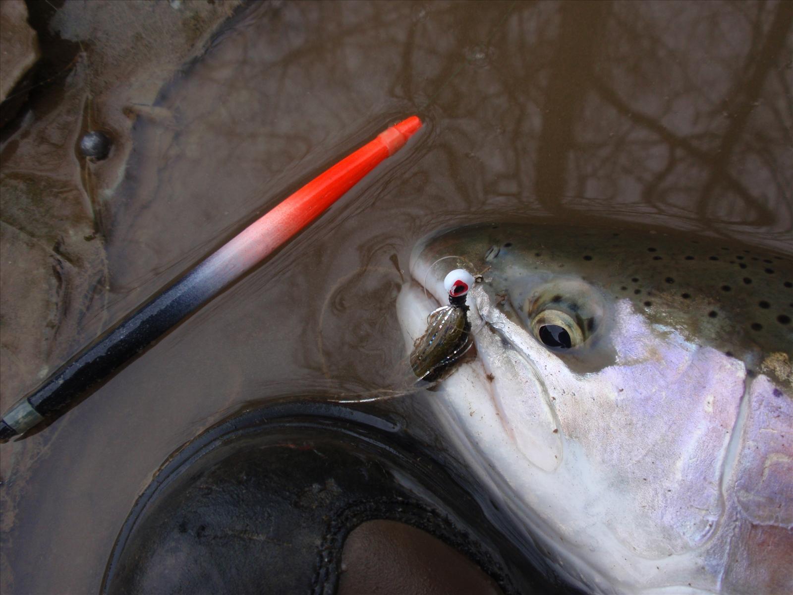 Getting your start in flyrod fishing: Schuyler, Keith C
