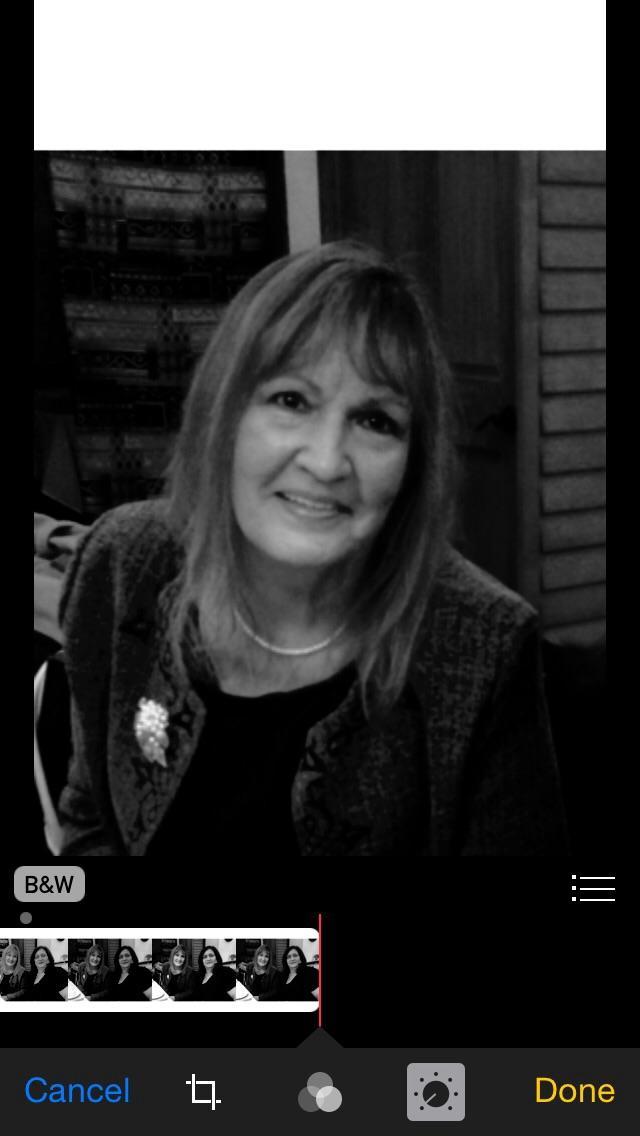 RITA BORSARI Obituary 2015 Philadelphia PA The Philadelphia